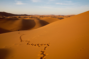 Mauritania Mauritania