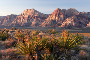 Nevada Nevada