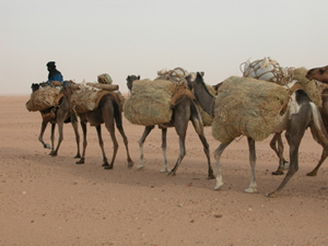 Niger Niger