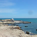 Ma vie � Zarzis