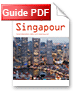 Téléchargez le guide de l'expatrié à Singapour