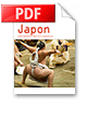 Téléchargez le guide de l'expatrié au Japon